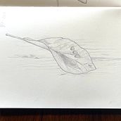 My project for course: Illustrated Diary: Fill Your Sketchbook with Experiences. Traditional illustration, Sketching, Drawing, and Sketchbook project by Maja Jensen - 07.01.2024