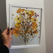 Mi proyecto del curso: Técnicas básicas de prensado botánico. Arts, Crafts, Fine Arts, Collage, DIY, Floral, and Plant Design project by Carla Béjares Alegría - 07.17.2024