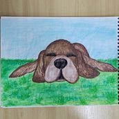 não tenho portfólio. Apenas quero aprender e desenvolver um dom.. Un progetto di Disegno di ritratti, Disegno con matite colorate, Pittura ad acquerello, Illustrazione digitale, Disegno a matita e Teoria del colore di Anaisa OP - 22.07.2024