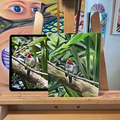 San Pedrito (almost finished): Classical Oil Painting for Naturalist Bird Portraiture. Fine Arts, Painting, Oil Painting, and Naturalistic Illustration project by Mark Wieder - 07.22.2024
