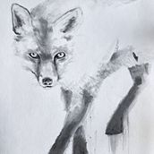 Fox. Projekt z dziedziny R, sunek ołówkiem,  R, sunek,  R, sunek art, st i czn użytkownika Cesar Aguilar - 22.07.2024