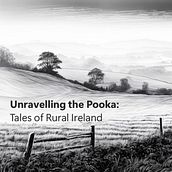 Unravelling the Pooka: Tales of Rural Ireland. Artificial Intelligence, and AI Design project by Brian Mulhall - 07.20.2024