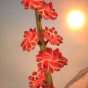 My project for course: 3D Animation: Create a Plant Scene in Cinema 4D. Motion Graphics, 3D, Animation, Art Direction, 3D Animation, and 3D Modeling project by justin_566144 - 07.23.2024
