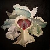 My art. Oil Painting, and Traditional illustration project by Olya Homenko - 07.23.2024