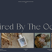 Mi proyecto del curso: Diseño de porfolios con Figma: promociónate como creativo. Un proyecto de Diseño, Marketing, Creatividad, Gestión del Portafolio, Diseño gráfico, Br, ing e Identidad y Redes Sociales de Roksolana Hozhelnyk - 25.07.2024