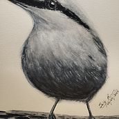 My project for course: Artistic Watercolor Techniques for Illustrating Birds. Traditional illustration, Watercolor Painting, Realistic Drawing, and Naturalistic Illustration project by Sally Rios - 07.25.2024