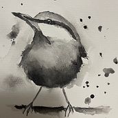 My project for course: Artistic Watercolor Techniques for Illustrating Birds. Traditional illustration, Watercolor Painting, Realistic Drawing, and Naturalistic Illustration project by S Karinsen - 07.27.2024