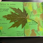 Mi proyecto del curso: Diseño y encuadernación de sketchbooks. Traditional illustration, Arts, Crafts, Bookbinding, DIY, and Sketchbook project by Belén García Fernández - 07.29.2024