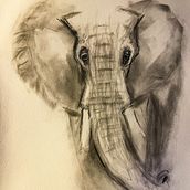 Mi proyecto del curso: Dibujo expresivo con carboncillo. Fine Arts, Drawing, Portrait Drawing, and Naturalistic Illustration project by Raúl Pérez - 07.30.2024