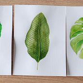 Mój projekt z kursu: Nadruki botaniczne techniką akwareli. Traditional illustration, Pattern Design, Watercolor Painting, and Botanical Illustration project by Magdalena G-W - 07.30.2024
