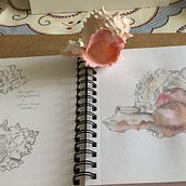 Mi proyecto del curso: Cuaderno ilustrado: registra la naturaleza. Un projet de Dessin au cra, on, Dessin, Aquarelle, Carnet de croquis et Illustration naturaliste de M.Belen - 30.07.2024