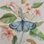 Meu projeto do curso: Aquarela realista para composições botânicas . Un proyecto de Ilustración tradicional, Pintura, Dibujo, Pintura a la acuarela e Ilustración botánica de Andrea Tostes - 31.07.2024