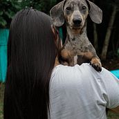 Mi proyecto del curso: Fotografía lifestyle de perros. Photograph, Portrait Photograph, Instagram Photograph, Documentar, Photograph, Lifest, and le Photograph project by Karen Céspedes - 07.27.2024