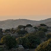 My project for course: Travel Photography with Mobile Phone for Beginners. Een project van Mobiele fotografie, Buitenfotografie y Fotografie voor Instagram van liza_30 - 31.07.2024