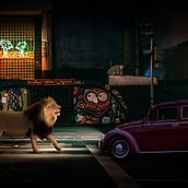 Mi proyecto del curso: Secretos del fotomontaje y el retoque creativo Ein Projekt aus dem Bereich Fotografie, Bildbearbeitung, VFX, Fotoretuschierung, Artistische Fotografie, Fotografische Komposition und Fotomontage von Michel Gonzalez - 01.08.2024