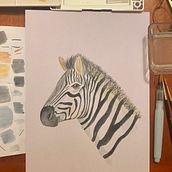 Cebra Ein Projekt aus dem Bereich Aquarellmalerei von CatitArt - 02.08.2024