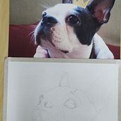 Meu primeiro esboço como exercício do curso de retratos de pet a lápis de cor.. Un progetto di Disegno a matita, Disegno realistico e Disegno di ritratti di Anaisa OP - 31.07.2024