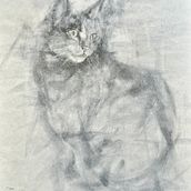 Mein Abschlussprojekt für den Kurs: Ausdrucksstarkes Zeichnen mit Holzkohle. Drawing, and Naturalistic Illustration project by michms_meyer - 08.03.2024