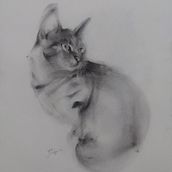 Mi proyecto del curso: Dibujo expresivo con carboncillo Ein Projekt aus dem Bereich Bildende Künste, Zeichnung, Porträtzeichnung und Naturalistische Illustration von Faby San - 04.08.2024