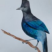 Study of Cheeseburger bird in Lake Tahoe. Watercolor Painting project by Somer Selway - 08.04.2024