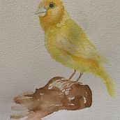 Canary in a coal mine . Watercolor Painting project by Somer Selway - 08.04.2024