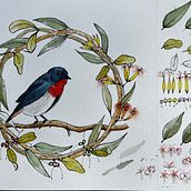 My project for course: Artistic Techniques for Illustrating Nature Ein Projekt aus dem Bereich Traditionelle Illustration, Aquarellmalerei, Malerei mit Acr, l, Botanische Illustration, Illustration mit Tinte und Zeichnen mit Buntstiften von Ruth Sparrow - 04.08.2024