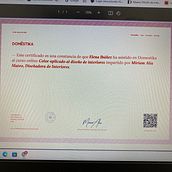 MI CERTIFICADO DEL CURSO . Interior Design project by Elena Ibáñez - 08.04.2024