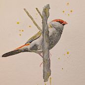 My project for course: Artistic Watercolor Techniques for Illustrating Birds. Traditional illustration, Watercolor Painting, Realistic Drawing, and Naturalistic Illustration project by Zoe - 08.04.2024