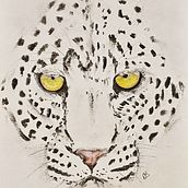 Leopard in charcoal. Drawing, and Fine Arts project by Deborah Stones - 08.04.2024