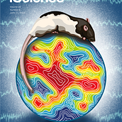 Scientific Illustration, Journal cover and graphical abstract. Projekt z dziedziny Ilustracja w i dawnicza użytkownika Ale Alonso - 11.06.2024