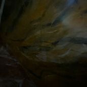 Mi proyecto del curso: Diseño y creación de composiciones florales. Een project van Interieurontwerp, L, scaping,  Interieurdecoratie, DIY y Bloem- en plantenschikken van caicedojuliana824 - 30.07.2024