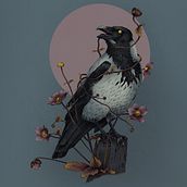 Mein Abschlussprojekt für den Kurs: Kugelschreiberzeichnungen: Naturalistische Illustration. Traditional illustration, Drawing, Realistic Drawing, and Naturalistic Illustration project by Maria Deiana - 08.06.2024