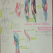 Mi proyecto del curso: Dibujo anatómico de extremidades, manos y pies. Fine Arts, Sketching, Pencil Drawing, Drawing, Portrait Drawing, Realistic Drawing, Artistic Drawing, Sketchbook, Figure Drawing & Ink Illustration project by Karen Marian Mojica Díaz - 08.06.2024