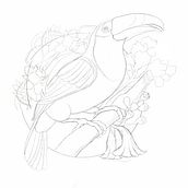  Terlaque ave de nariño. Traditional illustration, and Digital Illustration project by Ernesto Maya - 08.07.2024