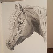 Mon projet du cours : Images réalistes de la faune au crayon graphite. Fine Arts, Pencil Drawing, Drawing, Realistic Drawing, and Naturalistic Illustration project by Valérie SCHULER - 08.08.2024