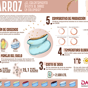 Infografía Concurso DANE 2023 Ein Projekt aus dem Bereich Design, Digitale Illustration und Kunstleitung von Manuela Montoya - 26.09.2023