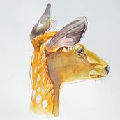 My project for course: Experimental Watercolor Techniques for Beginners. Traditional illustration, Fine Arts, Watercolor Painting, and Naturalistic Illustration project by jmcneely0319 - 08.11.2024