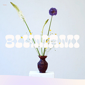BLUMAMI. Creación de una página web en Squarespace. Un projet de UX / UI, Webdesign, Développement web , et Conception de produits numériques de Sara Mayoral - 11.08.2024
