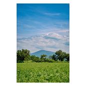 Mi proyecto del curso: Teoría del color en fotografía. Un proyecto de Fotografía, Retoque fotográfico, Fotografía digital, Composición fotográfica y Teoría del color de Ricardo Domínguez - 06.08.2024