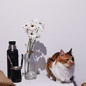 Mi proyecto del curso: Fotografía y vídeo profesional con tu móvil . % Camila Catalano Juanena tarafından hazırlanan Mobil Fotoğrafçılık, Instagram, Instagram Fotoğrafçılığı, Ve Yaşam Tarzı Fotoğrafçılığı projesi - 08.11.2024