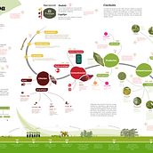 Mi proyecto del curso: Diseño de la información: cuenta historias con datos en Illustrator Ein Projekt aus dem Bereich Grafikdesign, Informationsdesign, Interaktives Design und Infografik von oviedo_3101 - 17.10.2023