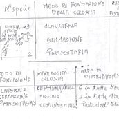 Il mio progetto del corso: Titolo provvisorio. Un progetto di Design, Graphic design, Design dell’informazione e Infografica di Davide Grassi - 12.06.2024