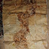 [untiteled] (2022). Collage, and Fine Arts project by Esra Van den Berg - 08.12.2024