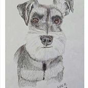 My project for course: Pet Portraits in Colored Pencils. Een project van Traditionele illustratie y Naturalistische illustratie van Lourdes Ramírez Fuentes - 11.08.2024
