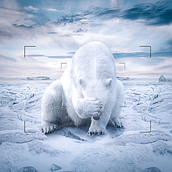 Fotomontaje  Publicitarios para Productos . Un progetto di Pubblicità, Direzione artistica, Graphic design, Marketing e Packaging di David Flores - 11.08.2024