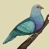 Digital illustration. Digital Illustration, Digital Painting, Children's Illustration, and Naturalistic Illustration project by aurorac - 08.13.2024
