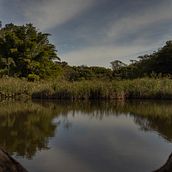 Meu projeto do curso: Fotografia de paisagem e natureza. Un progetto di Fotografia, Fotografia all'aperto, Fotografia per Instagram, Fotografia documentaria e Composizione fotografica di João Pedro Scarpa Balestrieiro - 14.08.2024