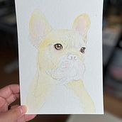 My project for course: Expressive Animal Portraits in Watercolor. Watercolor Painting, Realistic Drawing, and Naturalistic Illustration project by tianyunamyliu - 08.14.2024