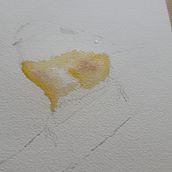 My project for course: Artistic Watercolor Techniques for Illustrating Birds. Traditional illustration, Watercolor Painting, Realistic Drawing, and Naturalistic Illustration project by Petter Fetz - 08.18.2024