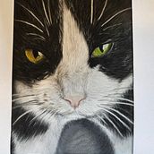 Pastellkreide Katze. Painting project by j_koroneko - 08.12.2024